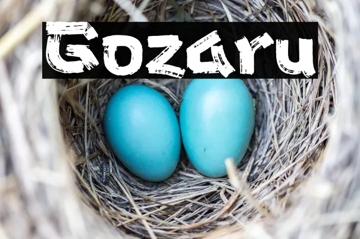 Gozaru Example 2