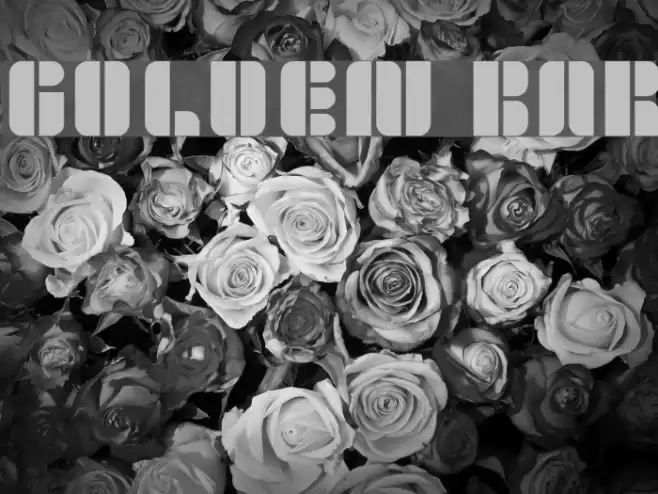 golden bar Font examples