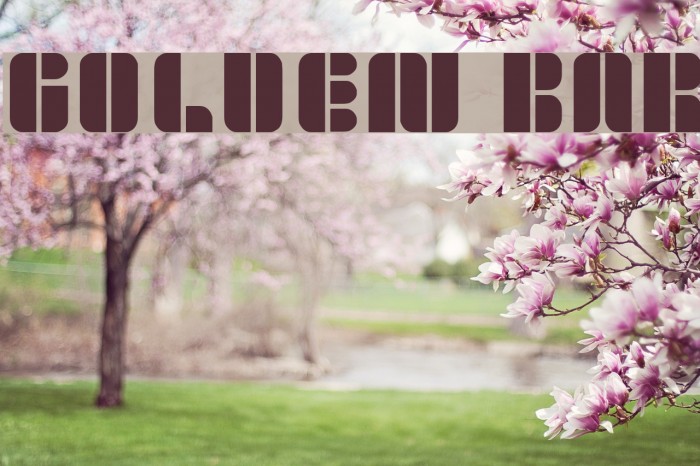 golden bar Example 2