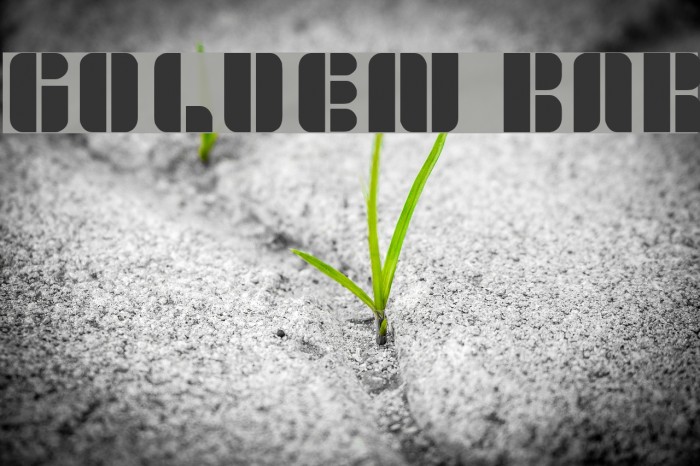 golden bar Example 3