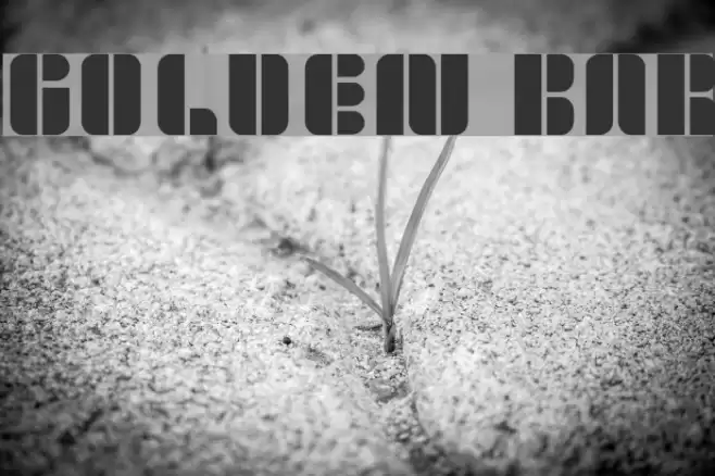 golden bar Font examples