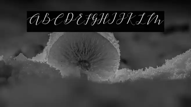 goldensea Font examples