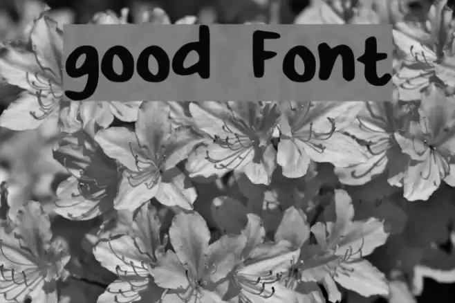 good Font examples