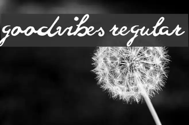 goodvibes regular Font examples