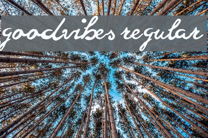 goodvibes regular Font examples