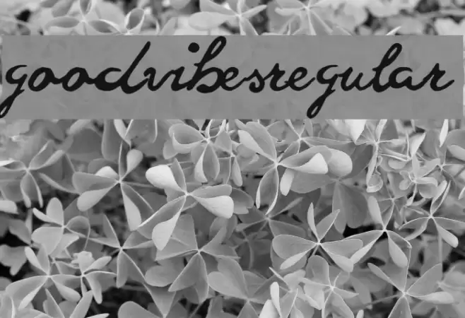goodvibesregular Fuentes examples