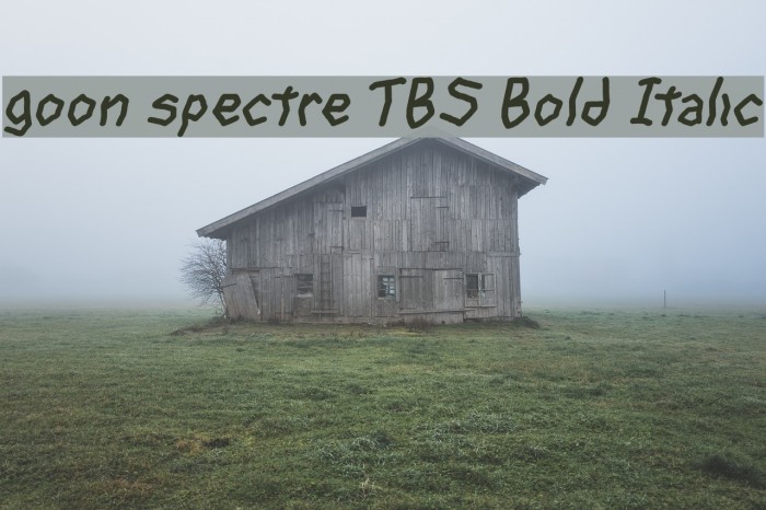 goon spectre TBS Bold Italic Font examples