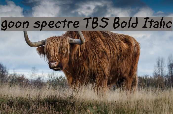 goon spectre TBS Bold Italic Font examples