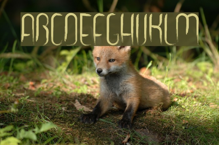 gooooly Font examples