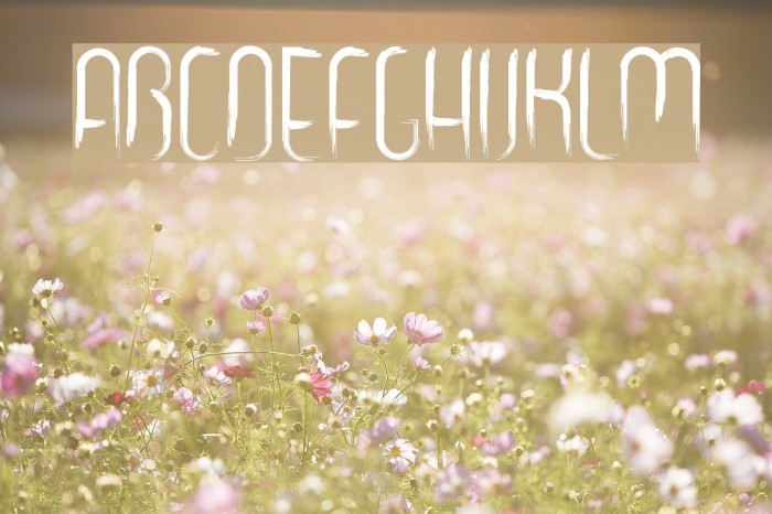 gooooly Font examples