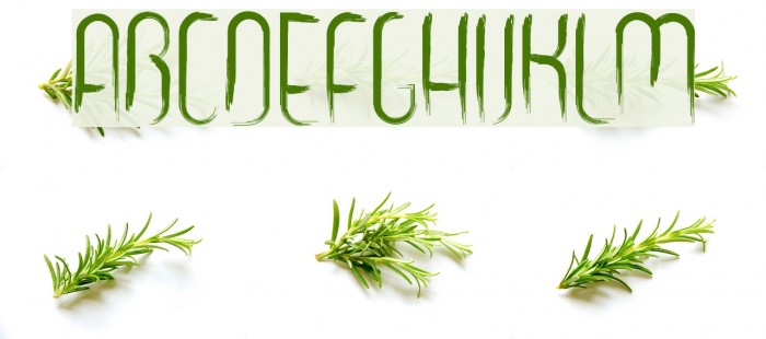 gooooly Font examples