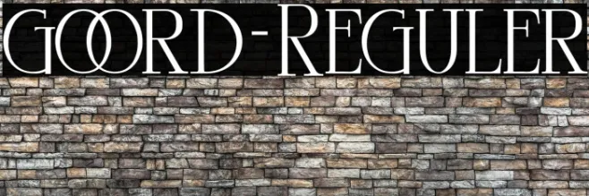 goord-Reguler Example 3