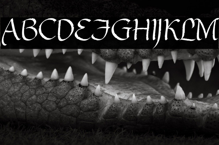 gothic ultra ot خط examples