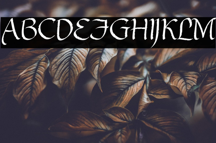 gothic ultra ot خط examples