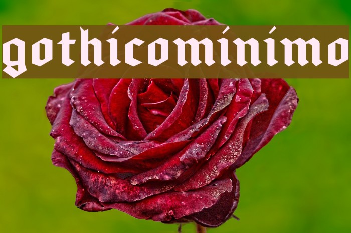 gothicominimo Font examples