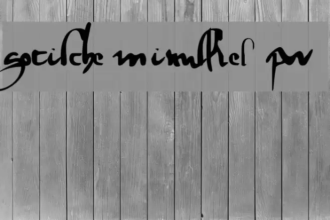 gotische minuskel 1269 pw Schriftart examples