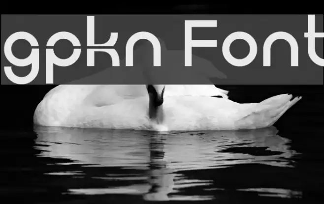 gpkn Font examples