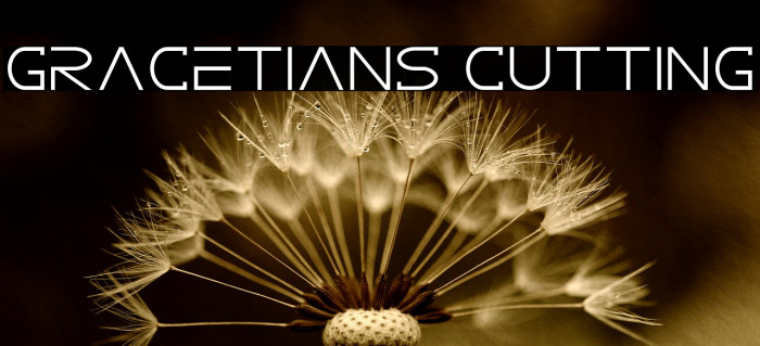GRACETIANS Cutting Font examples