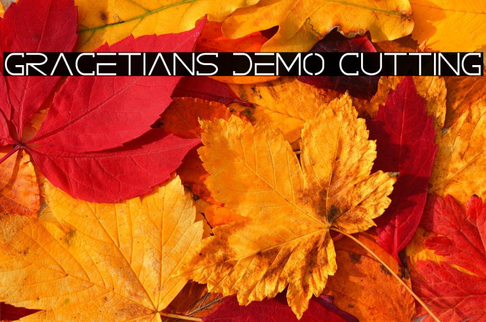 GRACETIANS DEMO Cutting Example 2