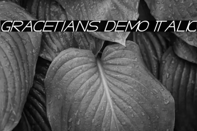GRACETIANS DEMO Italic Font examples