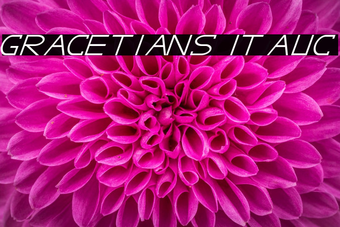 GRACETIANS Italic Font examples