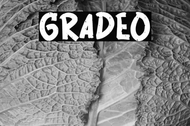 GRADEO Font examples