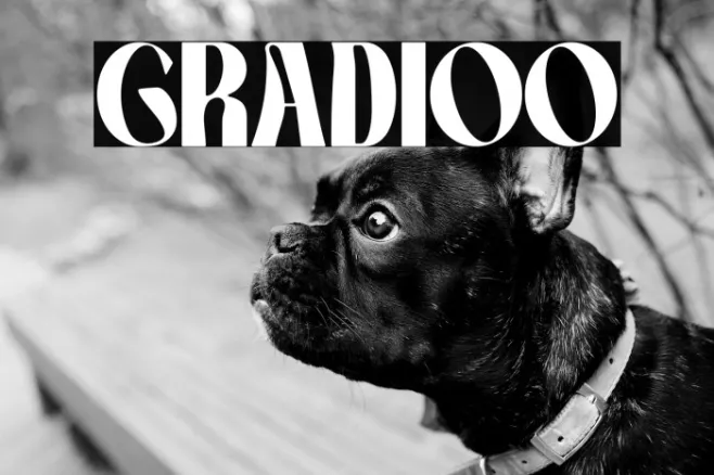 GRADIOO Example 3