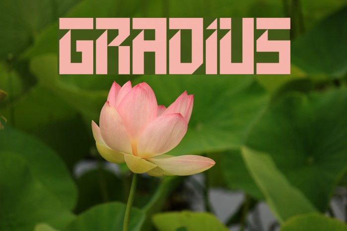 GRADIUS Font examples