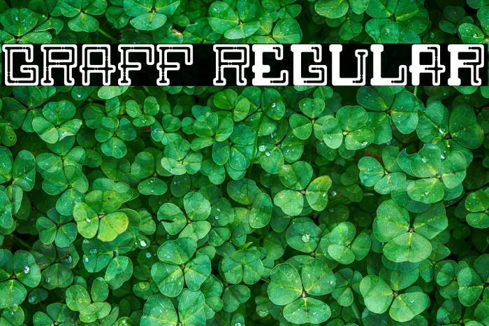 GRAFF Regular Example 2