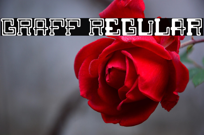 GRAFF Regular Example 3