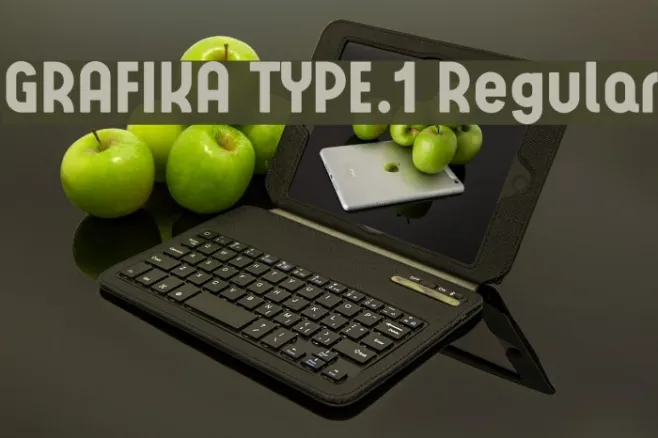 GRAFIKA TYPE.1 Regular Example 2