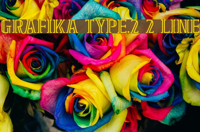 GRAFIKA TYPE.2 2 LINE Font examples