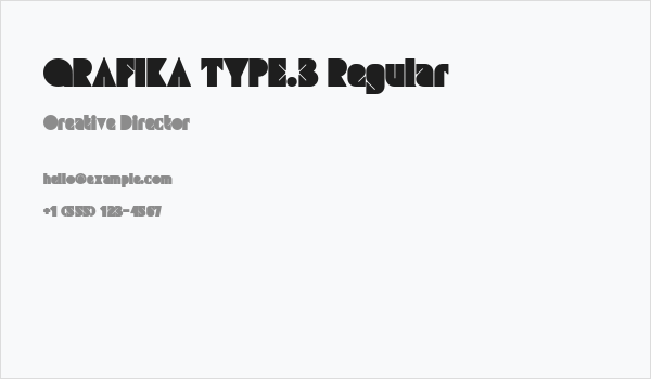 GRAFIKA TYPE.3 Regular Business Card
