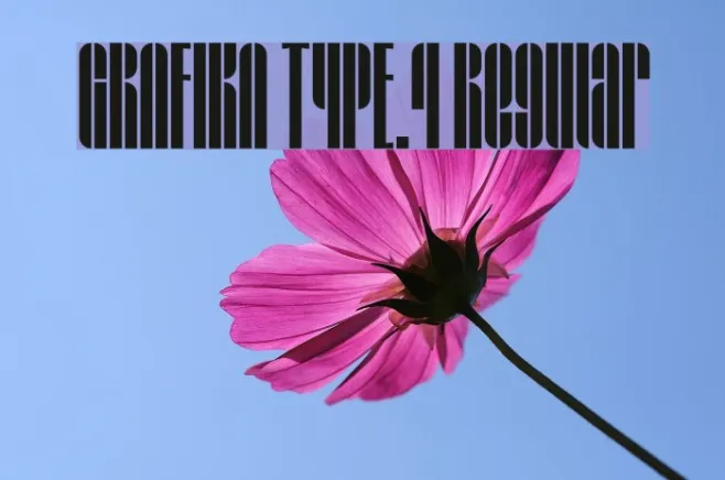 GRAFIKA TYPE.4 Regular Example 2