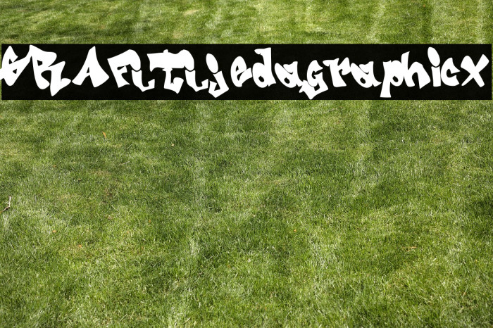 GRAFITI---jedagraphicx Example 1