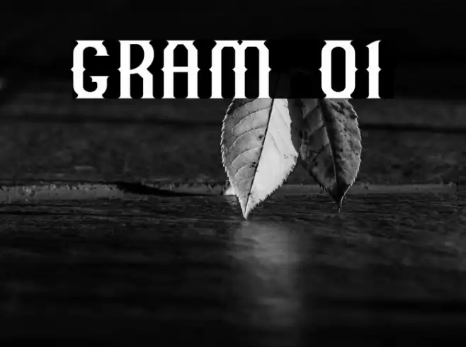 GRAM 01 Font examples