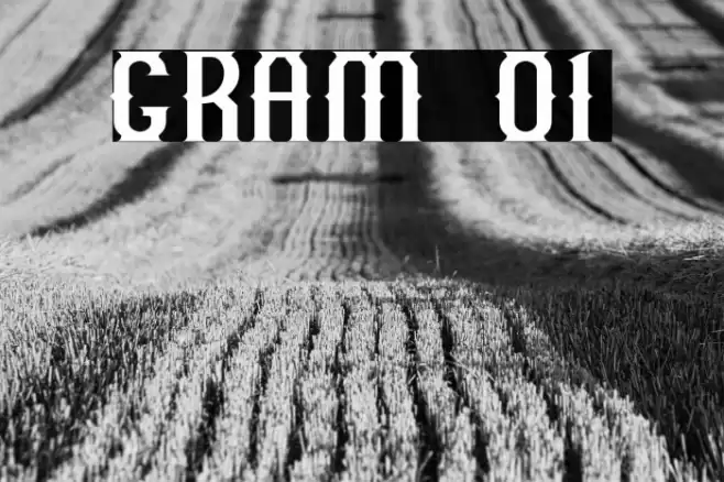 GRAM 01 Font examples