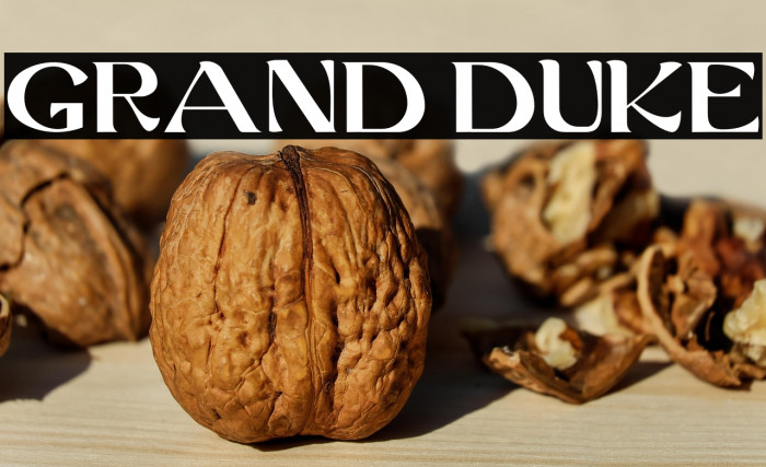 GRAND DUKE Example 1