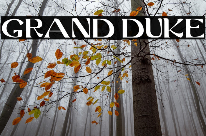 GRAND DUKE Example 3