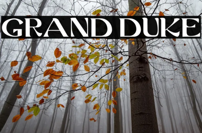 GRAND DUKE Example 3