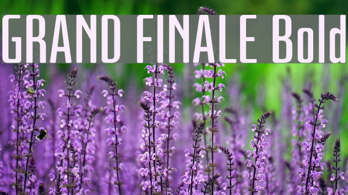 GRAND FINALE Bold Font examples