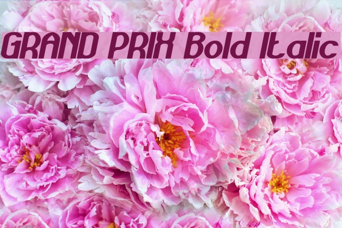GRAND PRIX Bold Italic Font examples