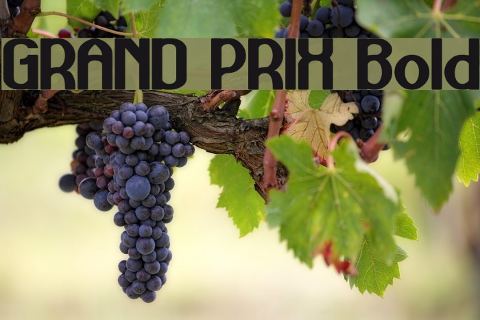 GRAND PRIX Bold Example 2