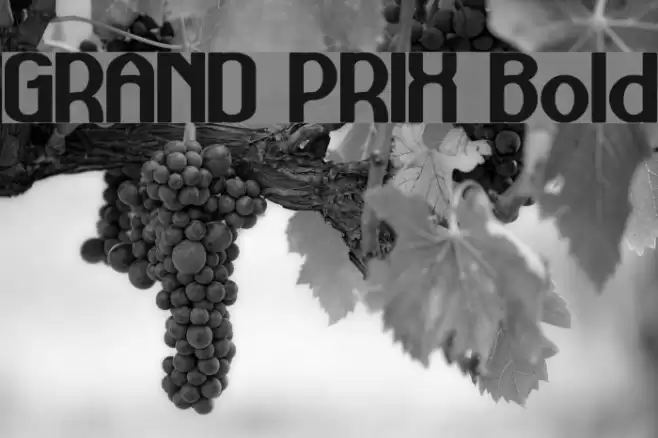 GRAND PRIX Bold Font examples