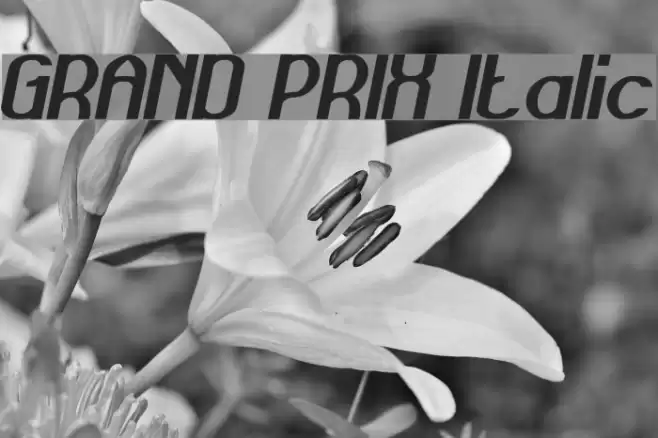 GRAND PRIX Italic Font examples
