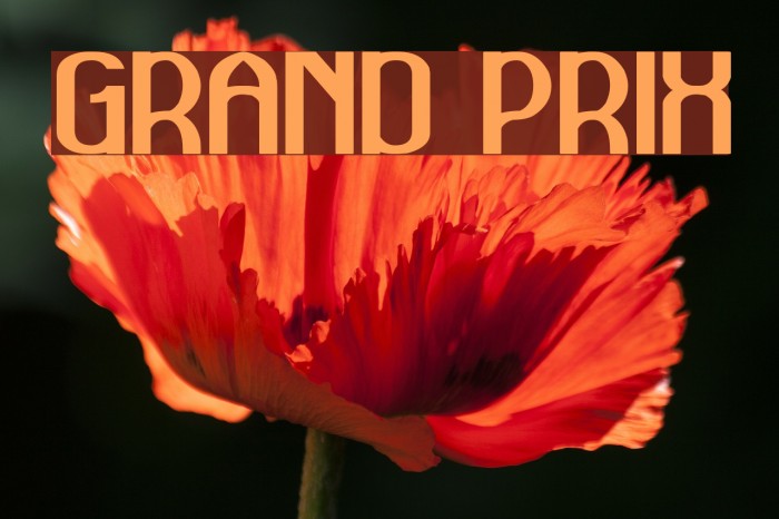 GRAND PRIX Font examples