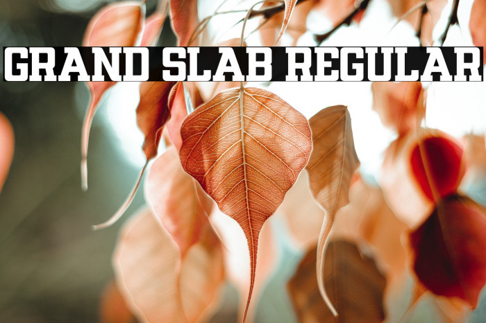 GRAND SLAB Regular Caratteri examples
