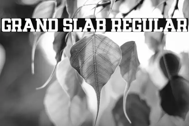 GRAND SLAB Regular Шрифта examples