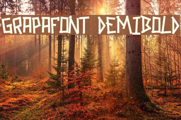 GRAPAFONT DemiBold Example 3