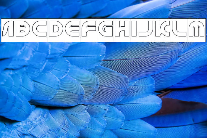 GRAPHIC DESIGN-Hollow-Inverse Example 2